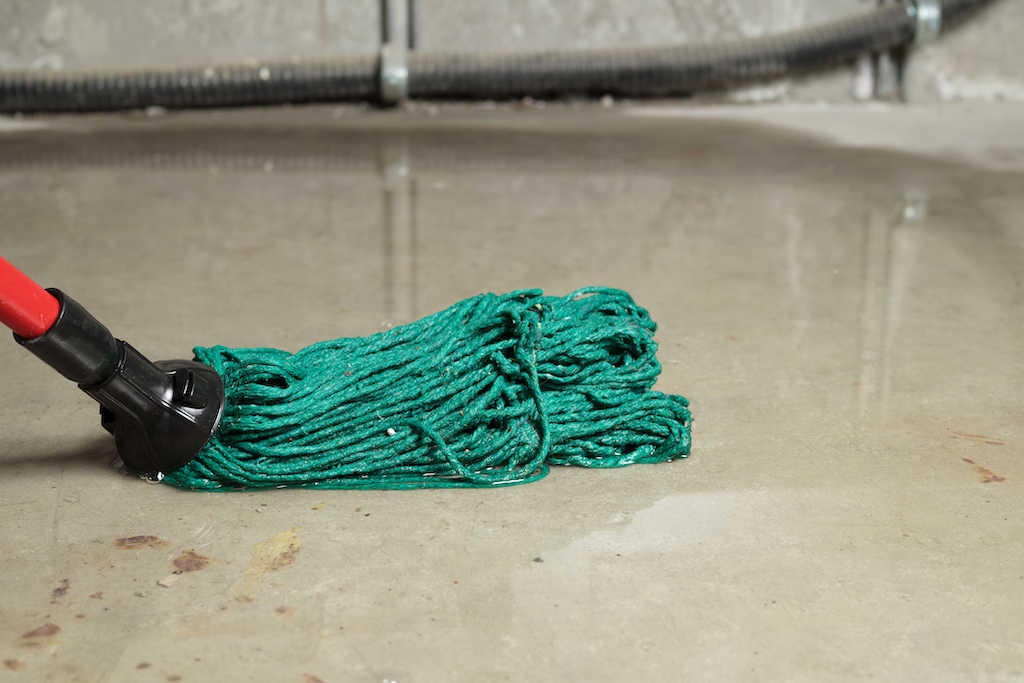 Green mop soaking up water in basement. | Plumbing Inspection Services