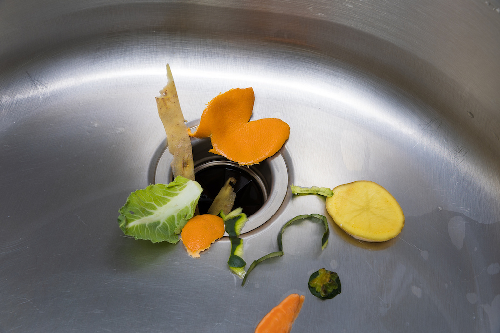 Vegetables in sink for garbage disposal. | Garbage Disposal Repair And Installation